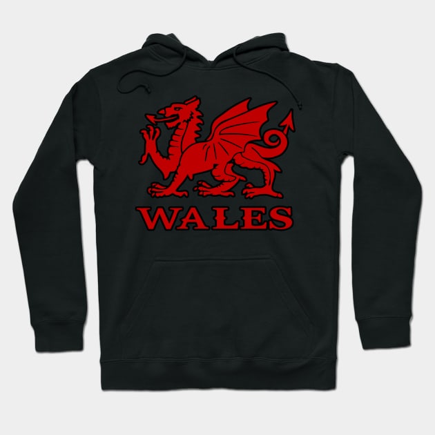 welsh dragon Hoodie by Huggy Mauve